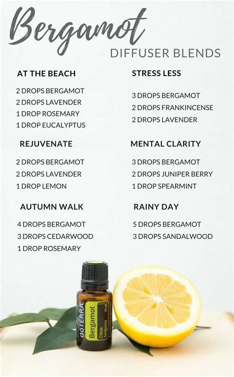 Check Out These Refreshing And Relaxing Bergamot Diffuser Blends Reach Out To Us Essential