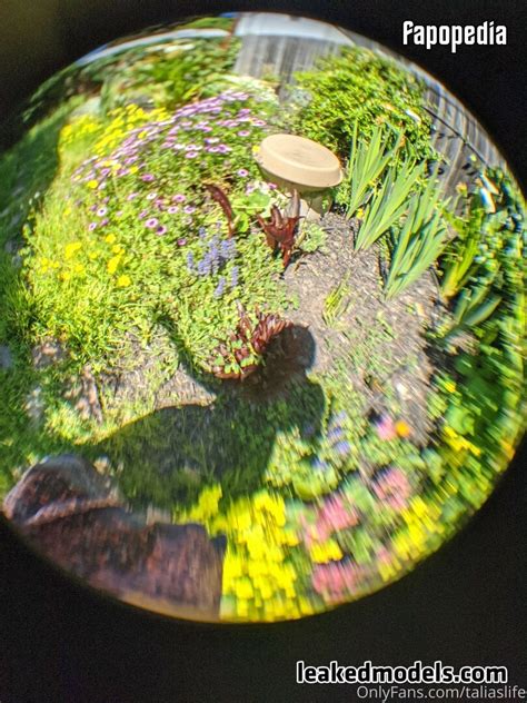 Talia Nude OnlyFans Leaks Photo Fapopedia