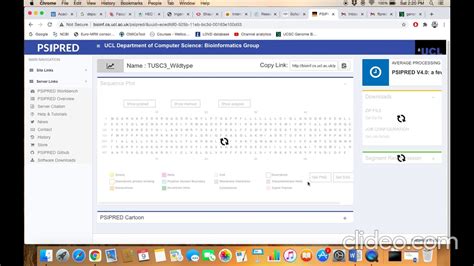 PSIPRED Protein Secondary Structure Prediction Tool YouTube