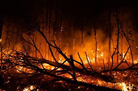 Wharton State Forest Wildfire June 20 2022