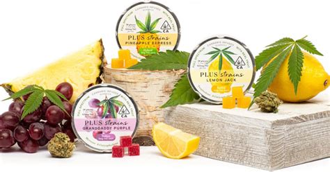 PLUS introduces cannabis-infused edibles with strain-specific gummies ...