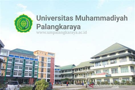 Universitas Muhammadiyah Palangkaraya Dan STIP Bunga Bangsa Siap