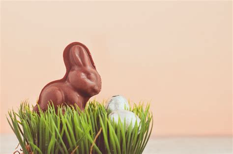 Top 5 Chocolate Bunnies for Easter