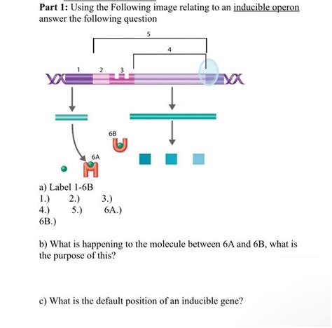 Solved Part 1: Using the Following image relating to an | Chegg.com