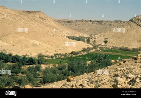 Kadesh Barnea Oasis In Eastern Sinai The Southern Boundary Of Cnaan