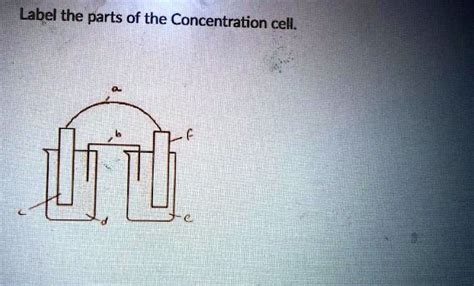 SOLVED: 'Label the parts of the Concentration cell.