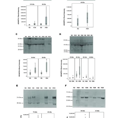 Determination Of ADAMTS 1 A 2 B 4 C 5 D And 13 E And