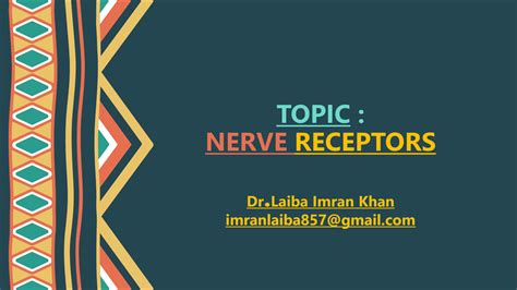 SOLUTION: Nerve receptors and its types - Studypool