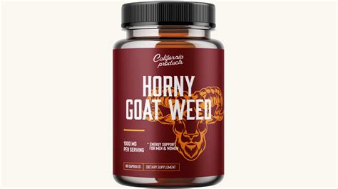 Top Best Male Sex Supplements In Straight