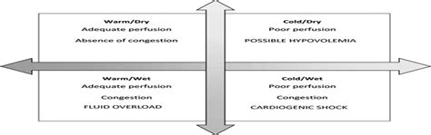 Acute Heart Failure : Advanced Emergency Nursing Journal