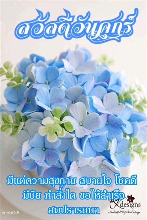 ปกพนโดย WAREE JITPAYAP ใน Day ดอกไมสฟา ดอกไมสมวง สขสนต