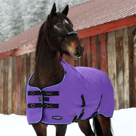 A Guide to Caring for Waterproof Horse Turnout Blankets — Kensington