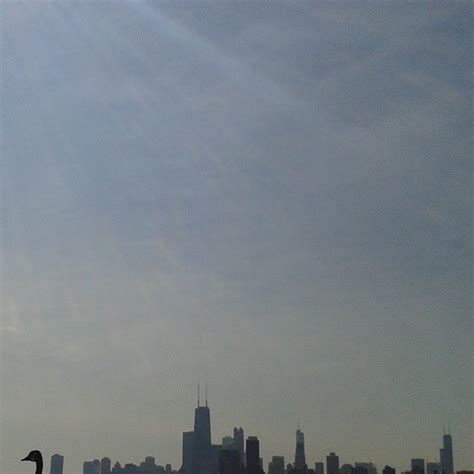 Goose island : r/chicago