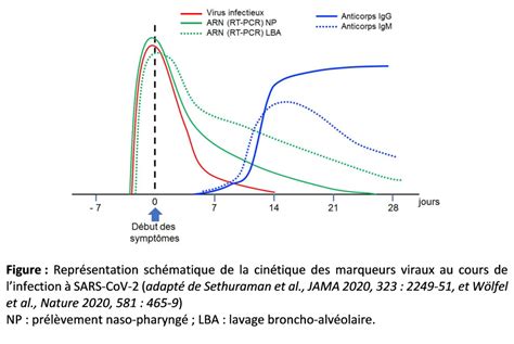 Diagnostic biologique de linfection à SARS CoV 2 place des marqueurs