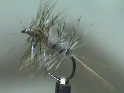 Fly tying video gallery dry flies – Artofit