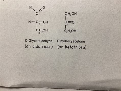 Chapter Biochem Carbohydrates Flashcards Quizlet