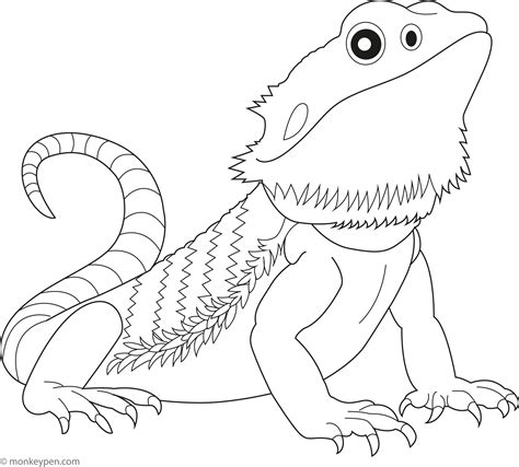 Bearded Dragon Coloring Page – Free Printable PDF for Kids