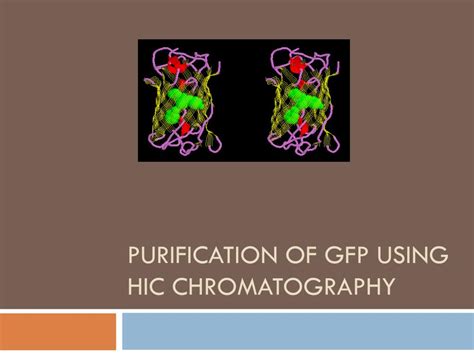 Ppt Purification Of Gfp Using Hic Chromatography Powerpoint