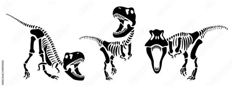 Tyrannosaurus Rex Skeleton Silhouette Vector Illustration Stock