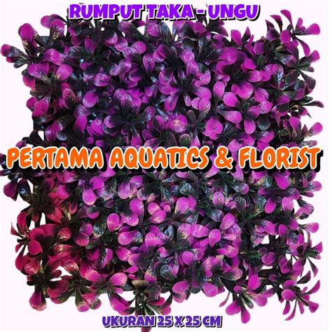 Jual Rumput Lenia Taka X Cm Rumput Aquarium Rumput Artificial