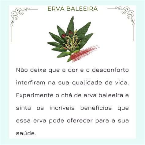 Kit 3chá De Erva Baleeira Folhas Pura Cordia Verbenacea R 7 em