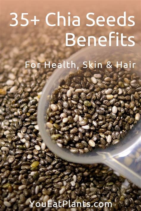 35 Benefits Of Chia Seeds For Health Skin And Hair Chia Seeds