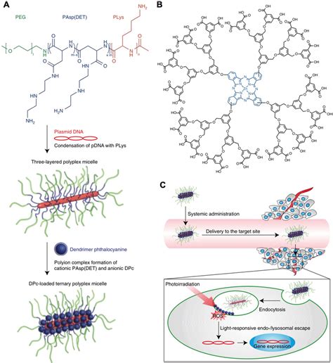 Schematic Illustration Of Light Responsive Nanocarriers For Gene