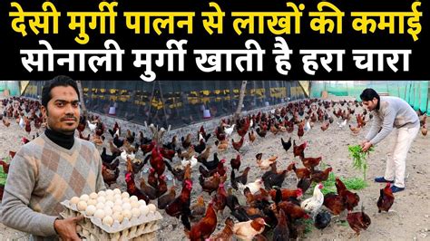 Free Range Desi Poultry Farm