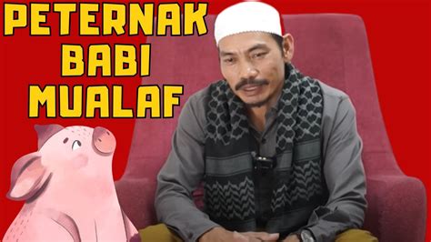 Kisah Penuh Perjuangan Peternak Babi Meraih Kebahagiaan Di Bawah Panji