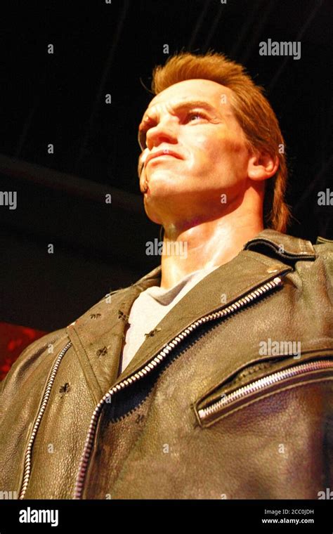 Arnold Schwarzenegger Wachsfigur Fotos Und Bildmaterial In Hoher