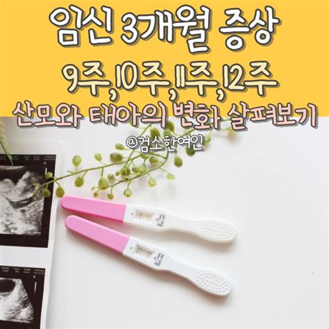 임신 3개월 증상 임신 9주차 10주차11주 임신 12주 증상 임신초기 주의사항 네이버 블로그