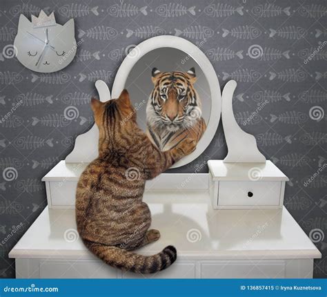 Funny Mirror Reflection