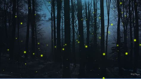 HD wallpaper: Firefly Nights, firefox persona, woods, dark, trees ...