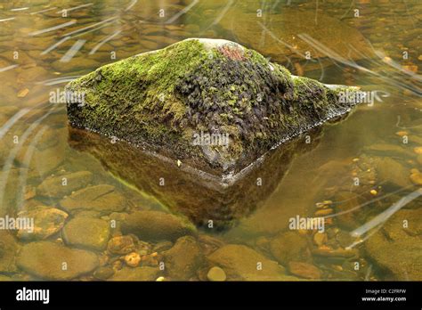 A Moss Covered Rock Reflected In Clear Water In The Brecon Beacons