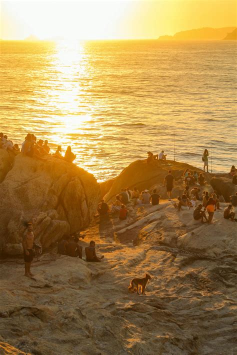 People on Beach during Sunset · Free Stock Photo