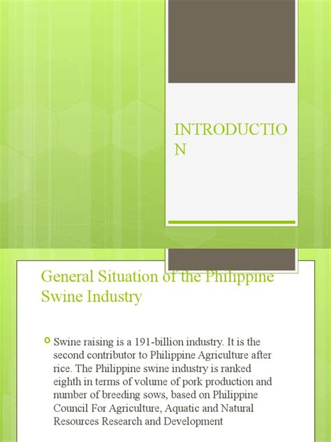 Introduction Swine Production | PDF