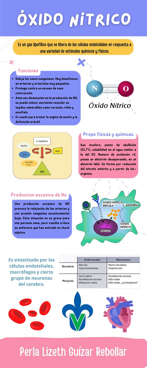 Infografía Óxido Nítrico Produccion excesiva de No Props físicas y