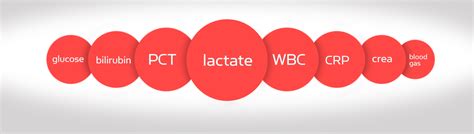 Lactate As An Aid In Sepsis Diagnosis And Management Radiometer