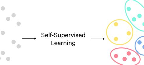 Self Supervised Learning Concepts Examples