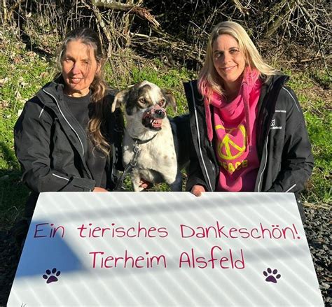 Vielen Dank für Ihre Spenden Tierheim Alsfeld