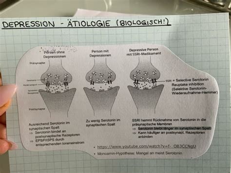 Affektive St Rungen Und Depression Karteikarten Quizlet