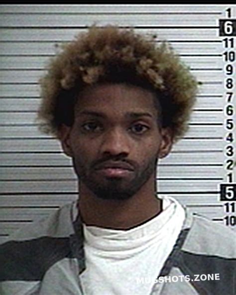 Howard Loviko Tavares Jr Bay County Mugshots Zone