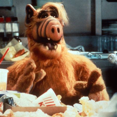 35 Jahre Alf Im Deutschen Fernsehen Deshalb Ist Die Serie Kult Swr2