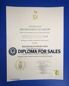 The Sensible Tips To Buy University Of Guelph Diploma