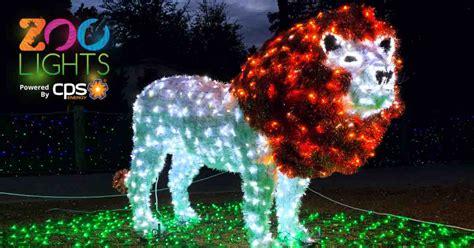 San Antonio Zoo Lights 2023 - Tickets, Discounts & More