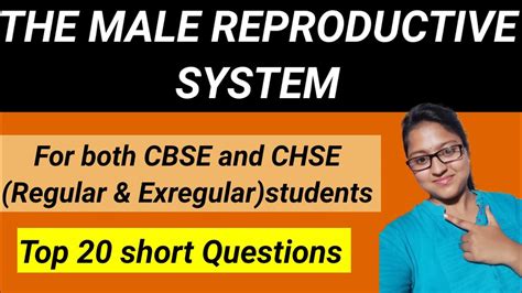 Mcqs Of Human Reproduction । Male Reproductive System Complete 💯 Youtube