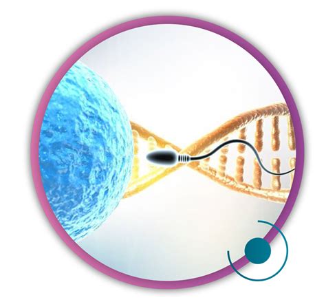 IVF Treatment In Bangalore Best IVF Centre In Bangalore