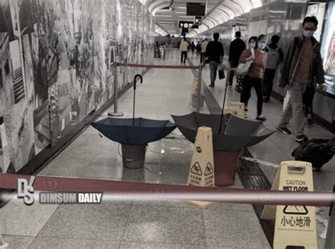 Umbrellas And Plastic Buckets Being Used To Collect Dripping Water From