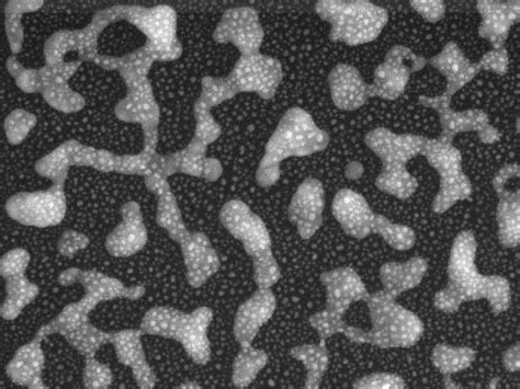 Chemical Sensor Sniffs Out Drugs | Fierce Electronics 