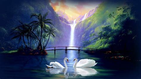 HD wallpaper: flowers, swan, waterfall | Wallpaper Flare